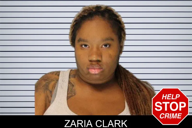 Zaria Clark mugshot – Hall County , Georgia Zaria Clark mugshot