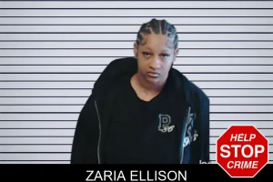 Zaria Ellison mugshot