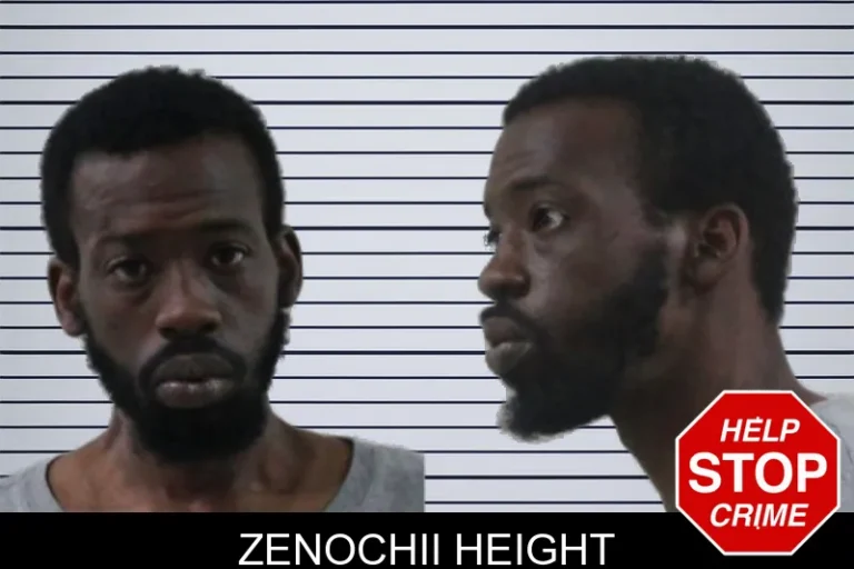 Zenochii Height