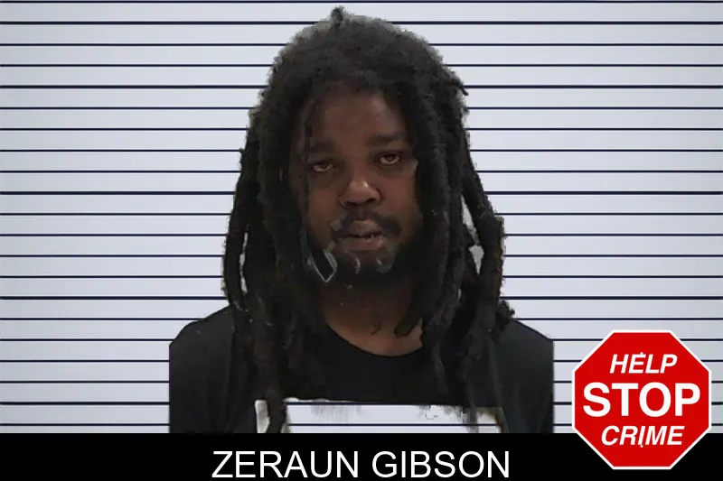 Zeraun Gibson mugshot