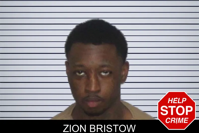 Zion Bristow mugshot