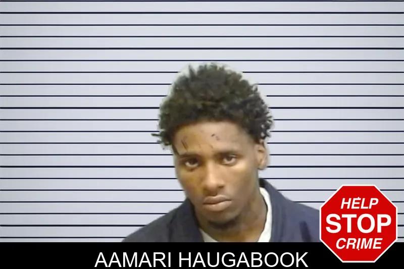 Aamari Haugabook mugshot – Fulton County , Georgia Aamari Haugabook mugshot