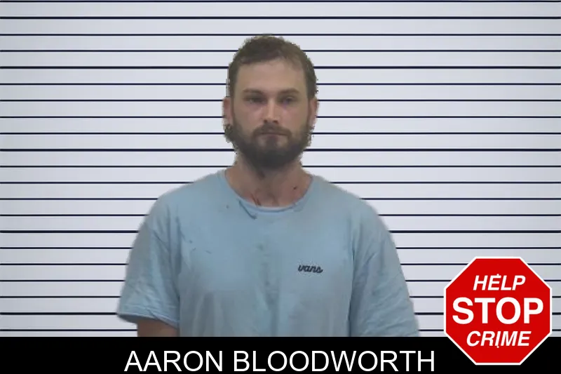 Aaron Bloodworth mugshot