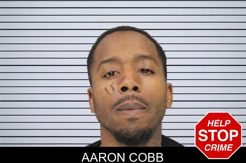 Aaron Cobb mugshot – Cobb County , Georgia Aaron Cobb mugshot