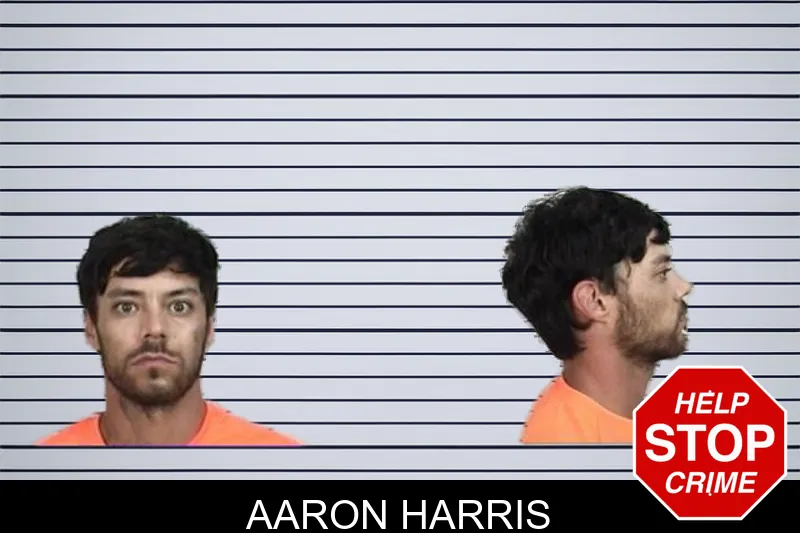 Aaron Harris mugshot – Camden County , Georgia Aaron Harris mugshot