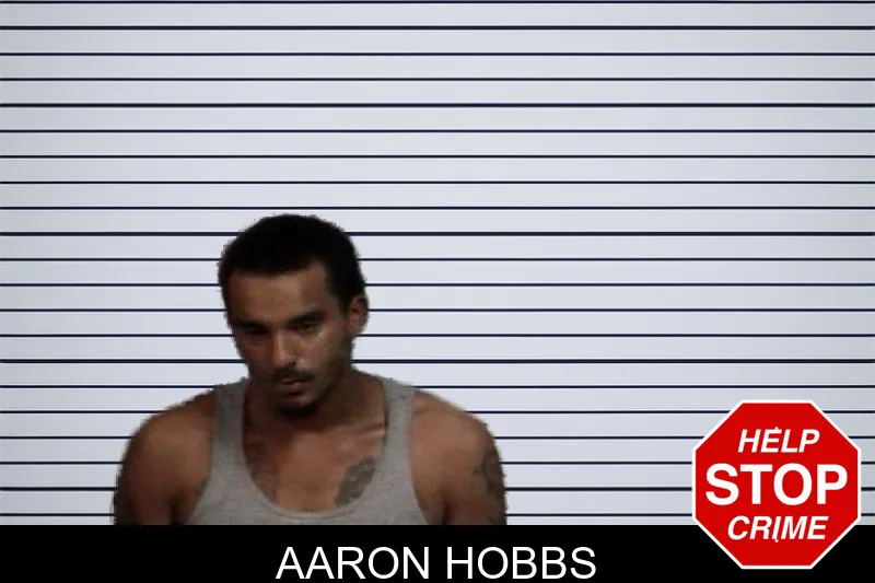 Aaron Hobbs mugshot