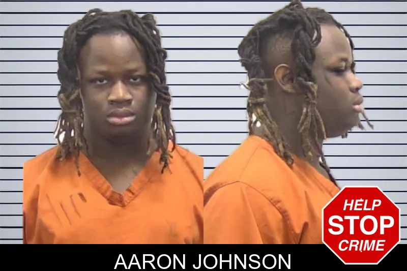 Aaron Johnson mugshot