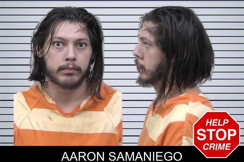 Aaron Samaniego mugshot