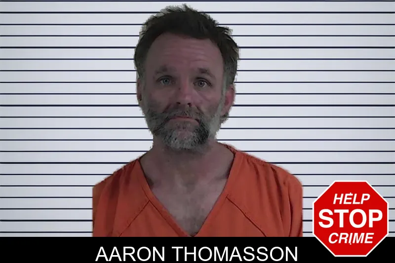 Aaron Thomasson mugshot – Fannin County , Georgia Aaron Thomasson mugshot