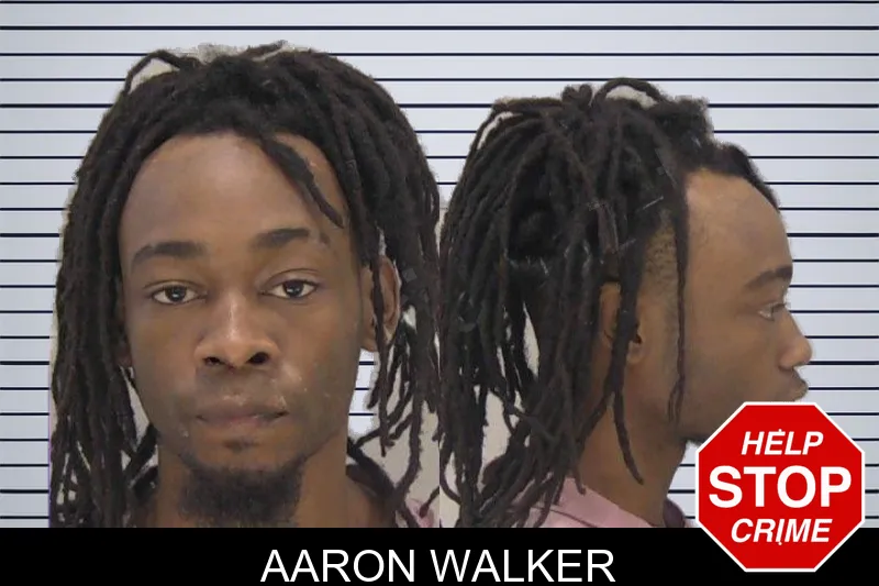 Aaron Walker mugshot