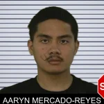 Aaryn Mercado-Reyes mugshot – Liberty County , Georgia Aaryn Mercado-Reyes mugshot