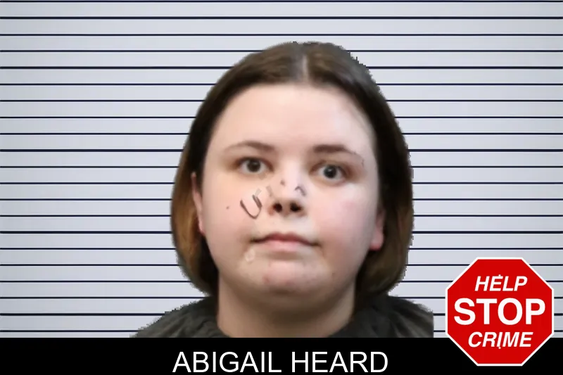Abigail Heard mugshot – Forsyth County , Georgia Abigail Heard mugshot