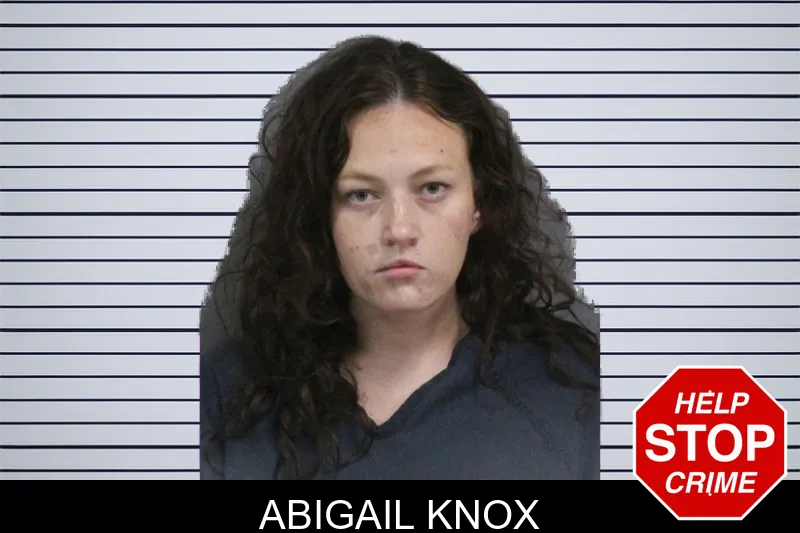 Abigail Knox mugshot – Catoosa County , Georgia Abigail Knox mugshot