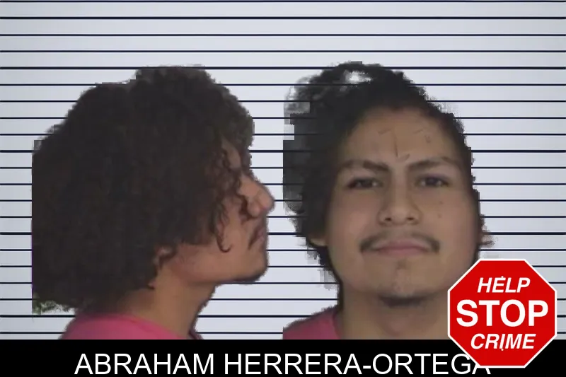 Abraham Herrera-Ortega mugshot – Barrow County , Georgia Abraham Herrera-Ortega mugshot