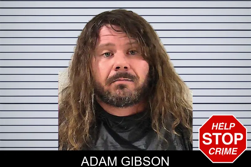 Adam Gibson mugshot – Elbert County , Georgia Adam Gibson mugshot