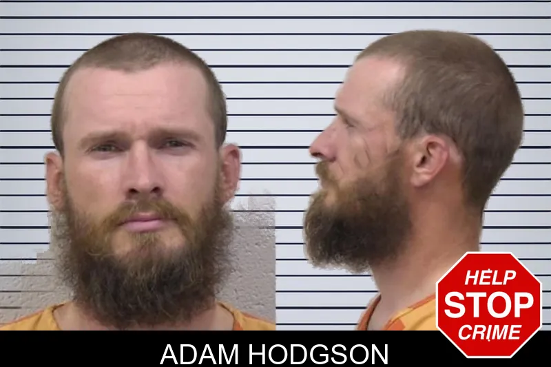 Adam Hodgson mugshot