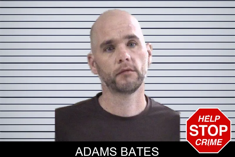 Adams Bates mugshot – Whitfield County , Georgia Adams Bates mugshot