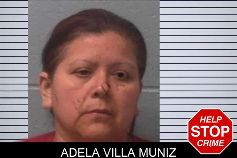 Adela Villa Muniz mugshot – Franklin County , Georgia Adela Villa Muniz