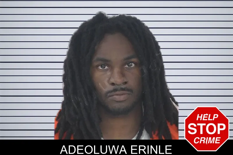 Adeoluwa Erinle mugshot