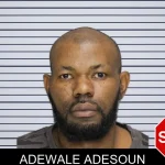 Adewale Adesoun mugshot