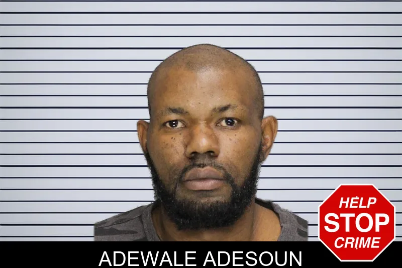 Adewale Adesoun mugshot