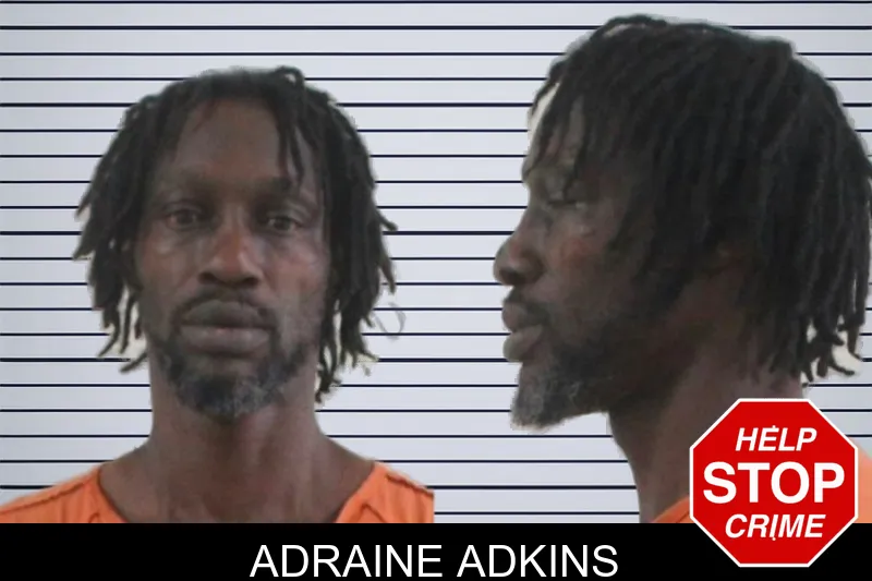 Adraine Adkins mugshot