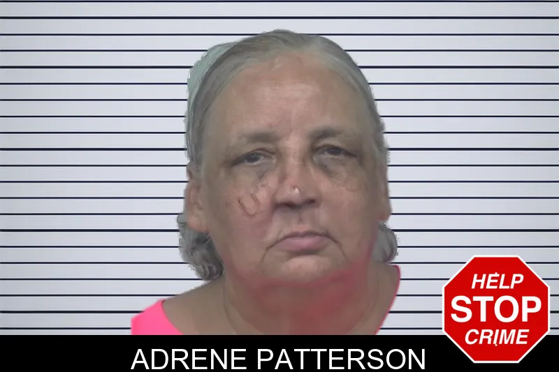 Adrene Patterson mugshot
