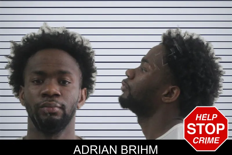 Adrian Brihm mugshot