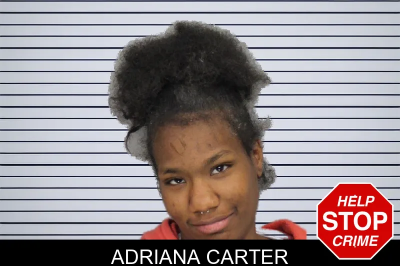 Adriana Carter mugshot – Cobb County , Georgia Adriana Carter mugshot