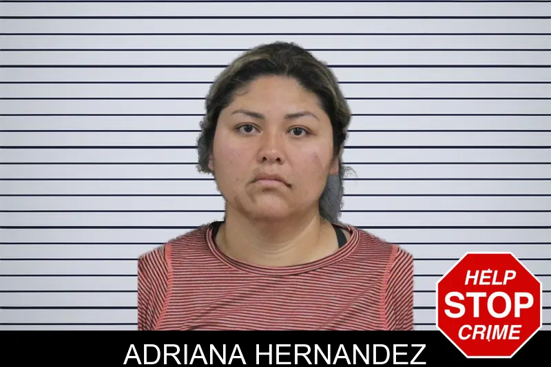 Adriana Hernandez mugshot