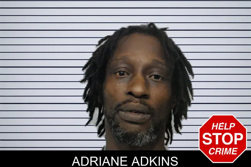 Adriane Adkins mugshot
