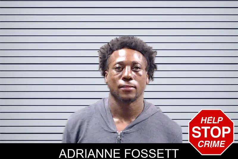 Adrianne Fossett mugshot – DeKalb County , Georgia Adrianne Fossett mugshot