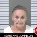 Adrienne Johnson mugshot