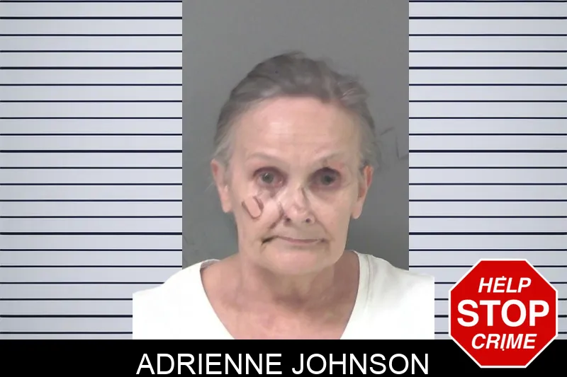 Adrienne Johnson mugshot – Douglas County , Georgia Adrienne Johnson mugshot