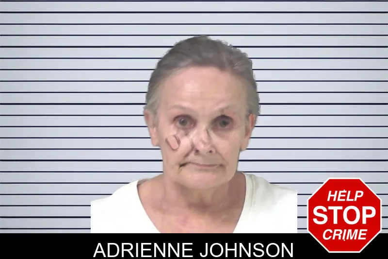 Adrienne Johnson mugshot