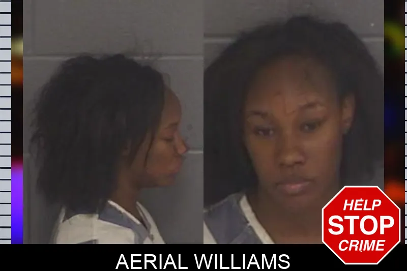Aerial Williams mugshot – Barrow County , Georgia Aerial Williams mugshot