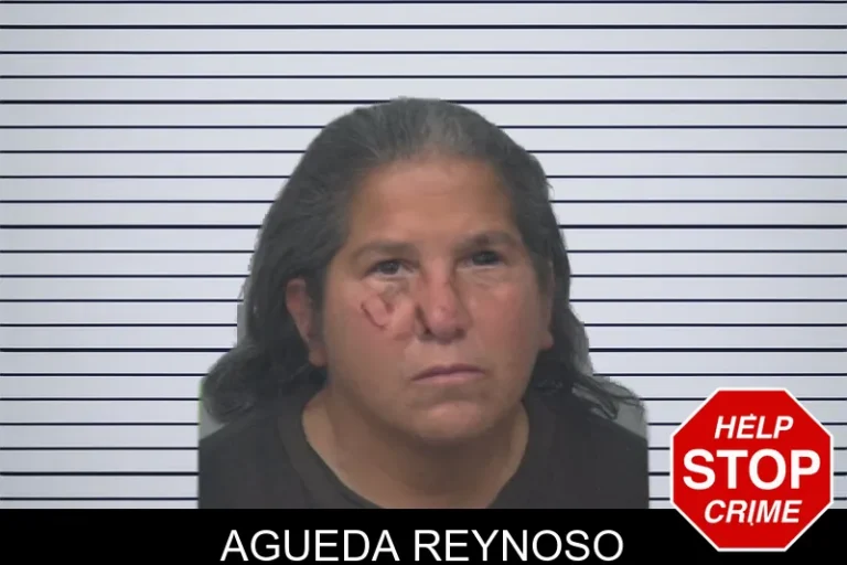 Agueda Reynoso mugshot – Gwinnett County , Georgia Agueda Reynoso