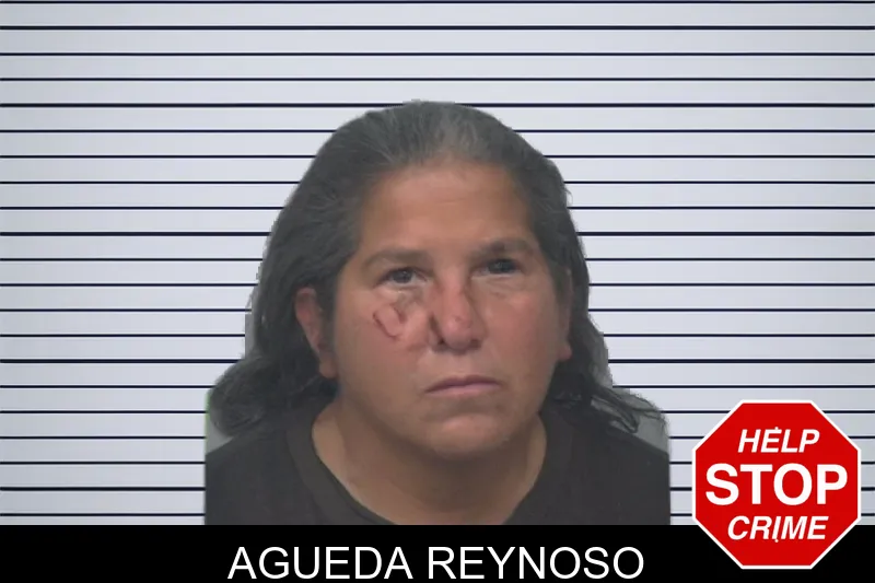 Agueda Reynoso mugshot
