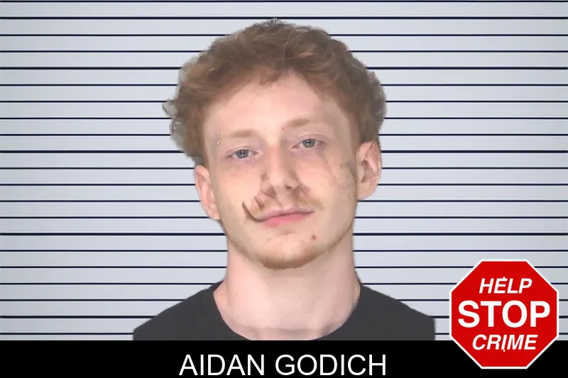 Aidan Godich mugshot – Douglas County , Georgia Aidan Godich mugshot