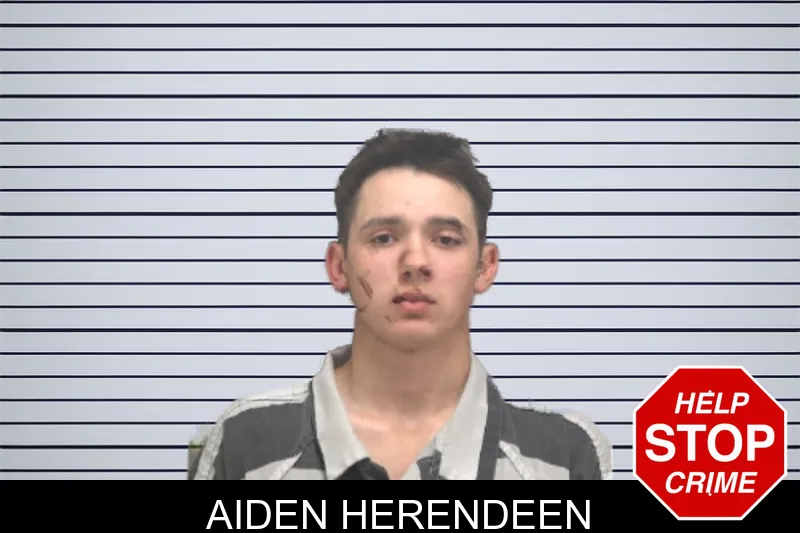 Aiden Herendeen mugshot