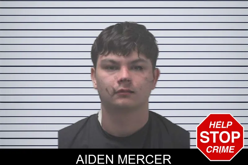 Aiden Mercer mugshot – Coweta County , Georgia Aiden Mercer mugshot