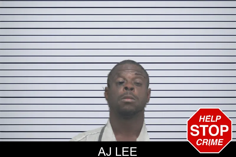 Aj Lee mugshot