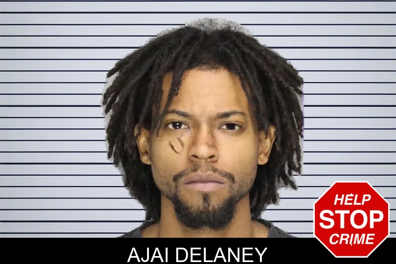 Ajai Delaney mugshot