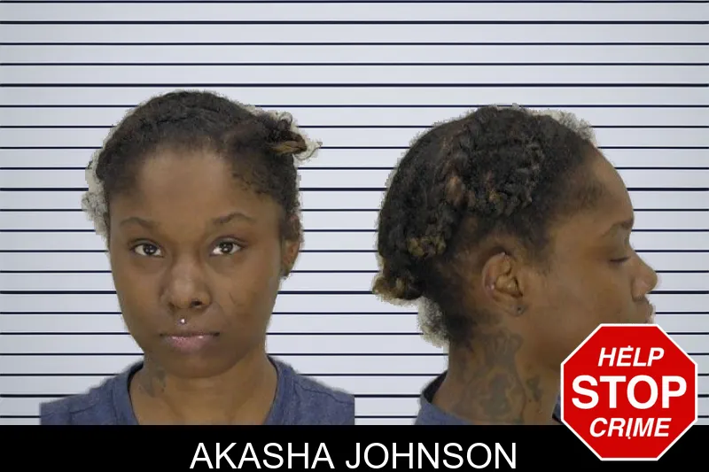Akasha Johnson mugshot