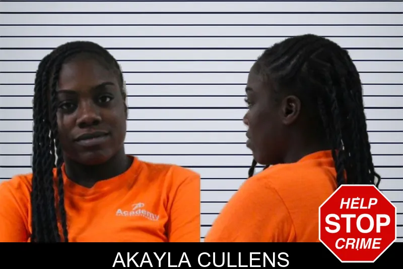 Akayla Cullens mugshot – Houston County , Georgia Akayla Cullens mugshot