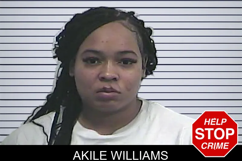Akile Williams mugshot – Dawson County , Georgia Akile Williams mugshot