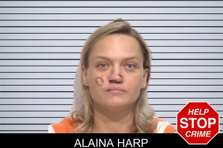 Alaina Harp