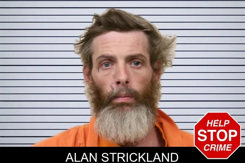 Alan Strickland mugshot – Bulloch County , Georgia Alan Strickland mugshot