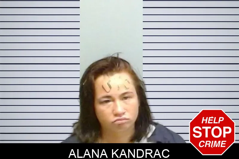 Alana Kandrac mugshot – Fulton County , Georgia Alana Kandrac mugshot
