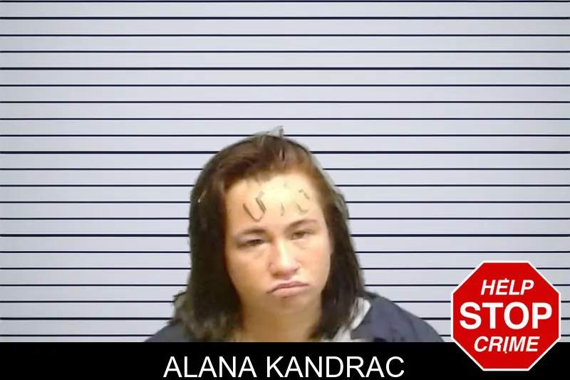 Alana Kandrac mugshot – Fulton County , Georgia Alana Kandrac mugshot